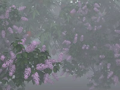 Flowering Tree With Purple Blossoms Green Leaves In Misty Morning Atmosphere 3d model