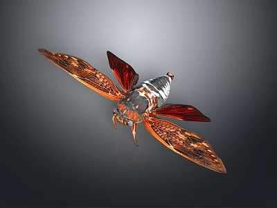 Flying Cicada Insect With Red Brown Patterned Wings And Black White Body Against Dark Background 3d model