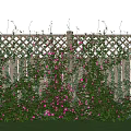 Climbing Vines With Pink Flowers And Green Leaves On Wooden Lattice Fence