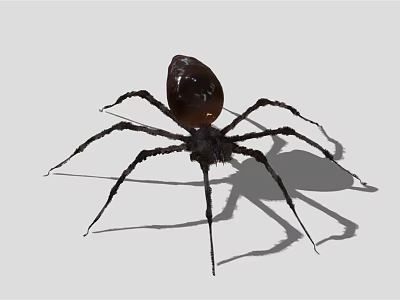 Black Shiny Spider With Long Legs Casting Shadow On Light Background 3d model