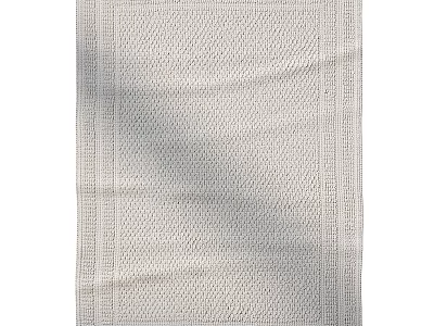 Light Beige Woven Square Rug with Textured Pattern for Living Room Decor 3d model