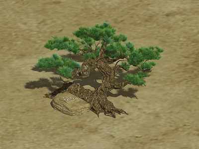 Whimsical Cartoon Scene With Old Pine Tree Twisted Roots And Stone Base On Sandy Ground 3d model