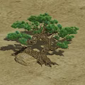 Whimsical Cartoon Scene With Old Pine Tree Twisted Roots And Stone Base On Sandy Ground