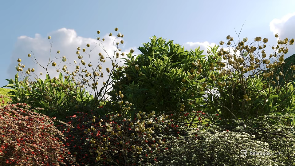 Diverse Flowering Shrubs With Green Leaves And Colorful Blooms Under Blue Sky And White Clouds 3d model 
