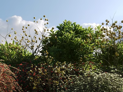 Diverse Flowering Shrubs With Green Leaves And Colorful Blooms Under Blue Sky And White Clouds 3d model