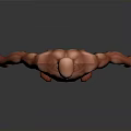 Muscular Man 3D Model with Well Defined Physique in Standing Pose