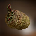 Close Up View Of Green And Brown Pine Cone With Spiral Scales And Small Tip