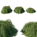 Lush Green Shrubs In Natural Garden Setting With Dense Foliage And Fresh Appearance