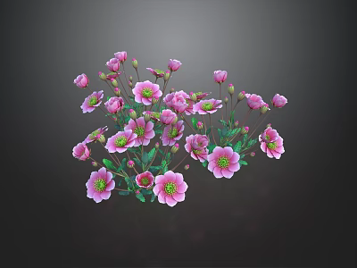Blooming Vibrant Pink Flowers With Lush Green Leaves For Garden Decoration 3d model