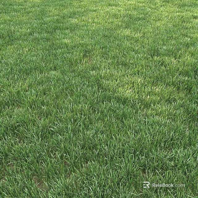 Elegant Decorative Ornament Set Placed On Lush Green Grass Field 3d model