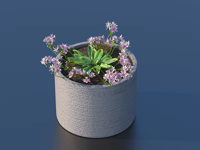 Textured Gray Bonsai Potted Plant With Green Leaves Purple Flowers On Deep Blue Background 3d model