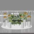 Circular White Display Shelves With Glass Bell Jars Decorative Fans And Green Plants