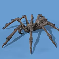 Realistic Spider 3D Model with Detailed Legs and Textured Exterior on Blue Background