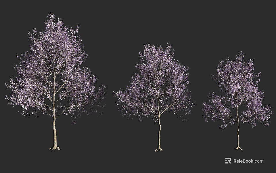 Three Blooming Arbor Trees with Purple Flowers on Dark Background 3d model 