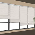 White Window Blinds In Bright Modern Room With Black Framed Windows And Potted Plant