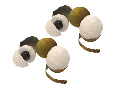 Modern Longan 3d model