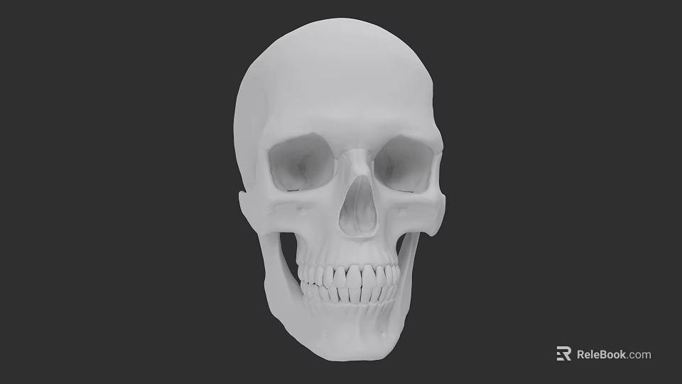 Detailed White Human Skull With Visible Eye Sockets And Teeth Structure 3d model 