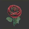 Beautiful Red Rose Plant with Green Leaves and Stem on Gray Background