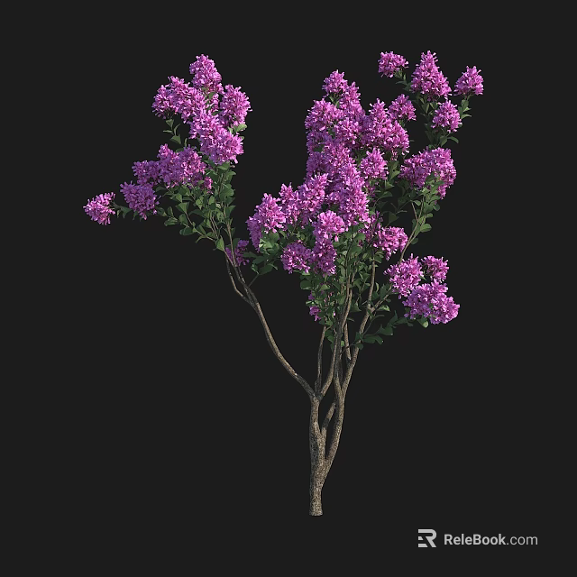 Purple Flowering Arbor With Lush Green Foliage And Multiple Branches 3d model 