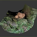 Natural Tree Stump With Green Moss And Orange Accents On Mossy Base