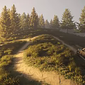Stunning Golden Hour Pine Forest Hillside Dirt Road Natural Scenery With Parked Off Road Vehicle