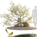 Natural Stone and Wood Tree Branches with Pebbles on Garden Ground Landscape