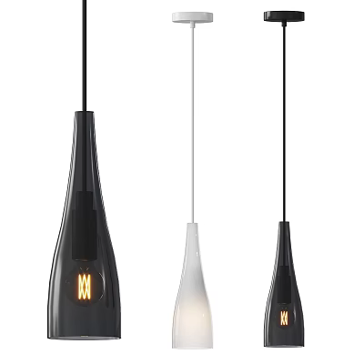 Modern Bottle Shaped Pendant Lights With Black And White Design Hanging Illuminated 3d model