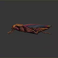 Colorful Iridescent Beetle With Shiny Metallic Body And Red Eyes