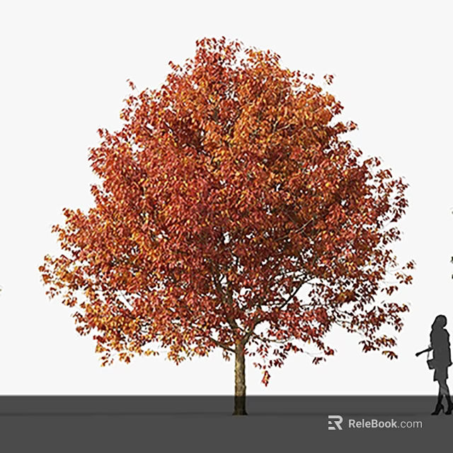 Tall Arbor With Vibrant Autumn Orange Red Foliage And Human Silhouette For Scale 3d model 
