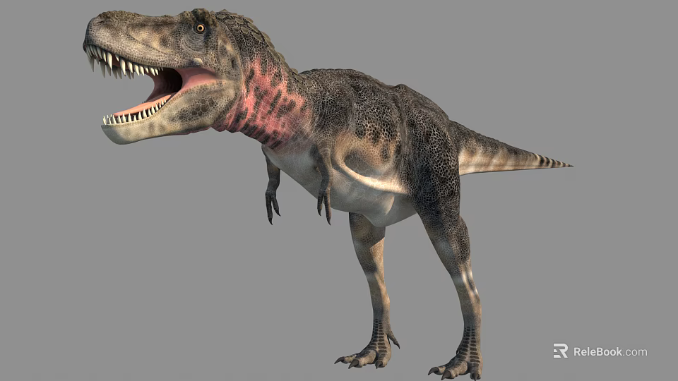 Realistic Tyrannosaurus Rex Reptile With Detailed Skin And Sharp Open Mouth 3d model 