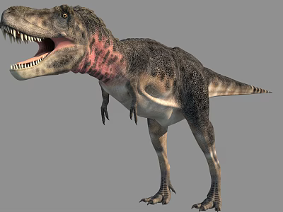Realistic Tyrannosaurus Rex Reptile With Detailed Skin And Sharp Open Mouth 3d model