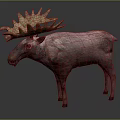 Reindeer With Large Antlers And Brown Body Standing On Grey Background