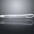 Detailed Anatomical Organ Structure With Hair Fibers In White 3D Rendering