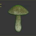 Shiny Metallic Mushroom With Glossy Cap And Stem On Dark Background