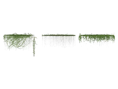 Lush Green Vines Climbing And Trailing Along Garden Fence With Vibrant Foliage 3d model