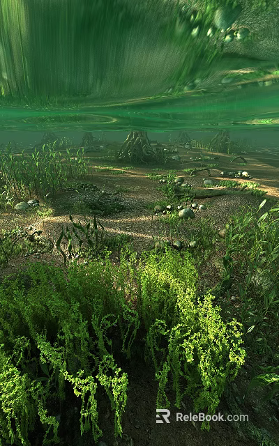 Tranquil Underwater Scenery With Green Aquatic Plants Smooth Stones And Sunlight Filtering Through Water Surface 3d model 