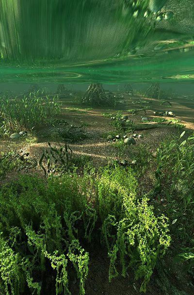 Tranquil Underwater Scenery With Green Aquatic Plants Smooth Stones And Sunlight Filtering Through Water Surface 3d model