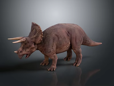 Detailed Brown Triceratops Dinosaur With Large Horns Frill Standing On Dark Background 3d model