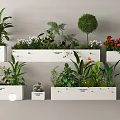 Varied Indoor Green Plants And Vibrant Flowers In White Rectangular Planters