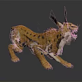 Orange Spotted Lynx with Long Tufted Ears Roaring in Crouching Stance on Gray Background