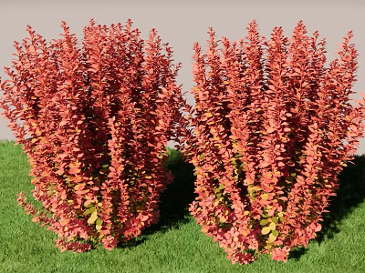 Red Leafy Shrubs Growing In Green Grass With Vibrant Foliage 3d model