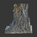 3D Organ Structure Model With Natural Hair Texture and Color Details