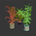 Three Varied Indoor Leafy Plants in Concrete Black and Beige Ceramic Planters on Dark Surface