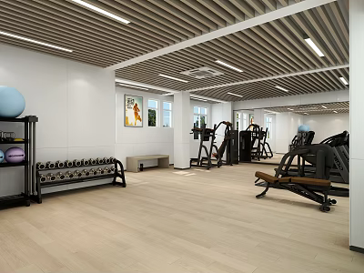 Workwear Style Space Sports Fitness Gymnasium 3d model