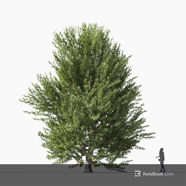 Lush Green Arbor With Tall Structure Full Canopy And Dense Foliage 3d model