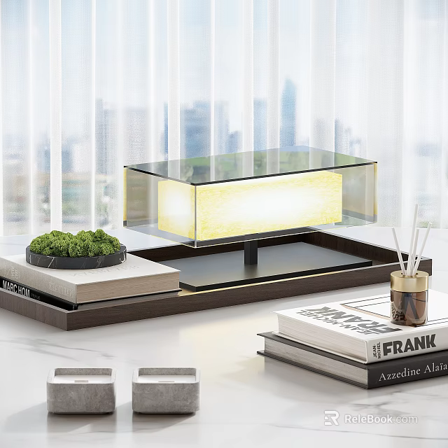 Modern Transparent Glass Lighted Decorative Ornament Set with Green Plants Books Tray and Diffuser 3d model 