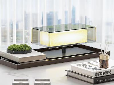 Modern Transparent Glass Lighted Decorative Ornament Set with Green Plants Books Tray and Diffuser 3d model