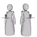 Modern Robot Restaurant Robot 3d model