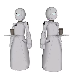 Modern Robot Restaurant Robot 3d model