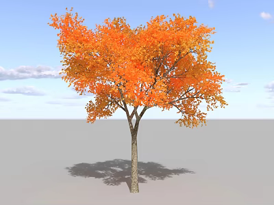Autumn Tree with Vibrant Orange Leaves Against Blue Sky and White Clouds 3d model